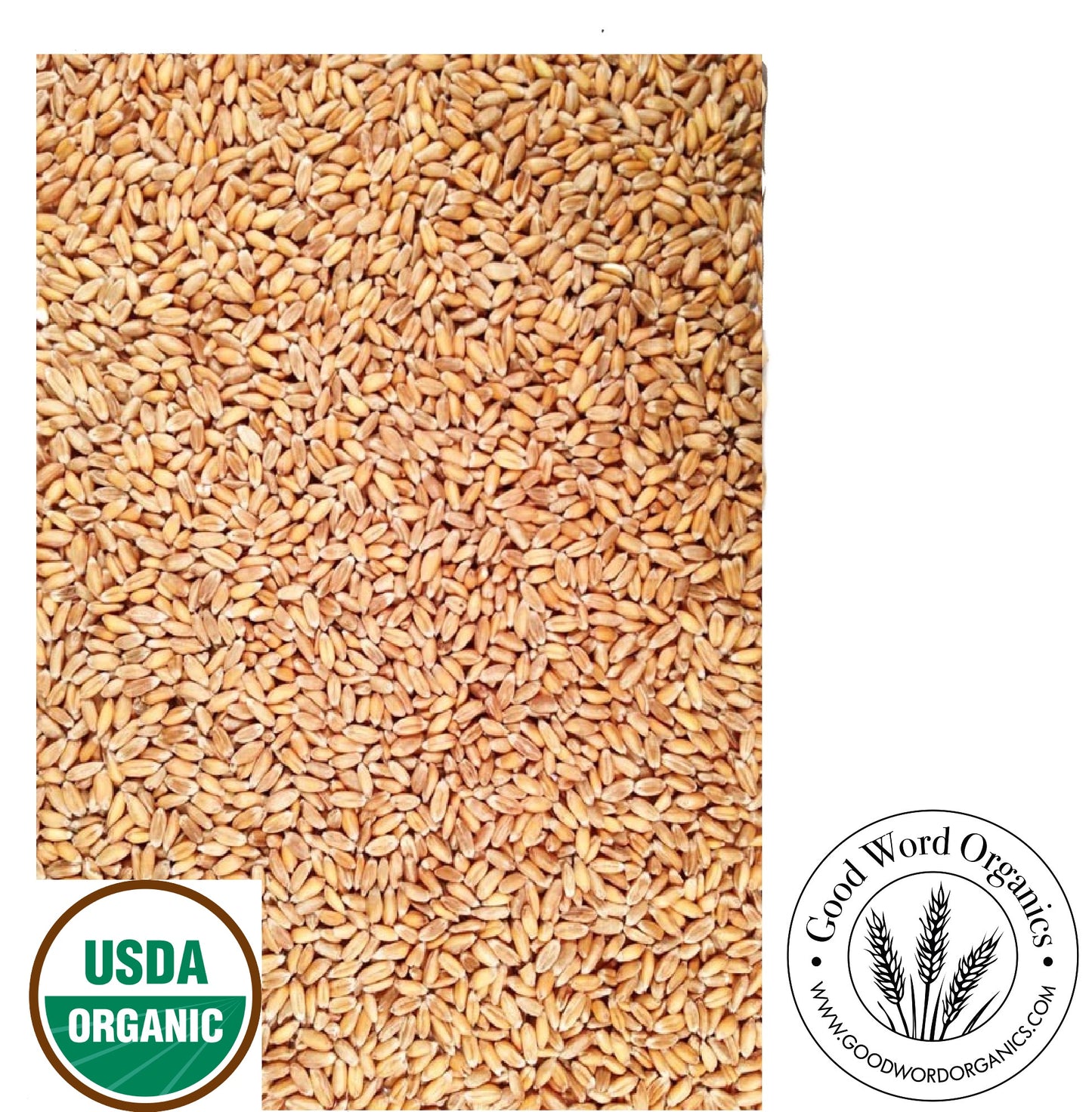 Organic Spelt