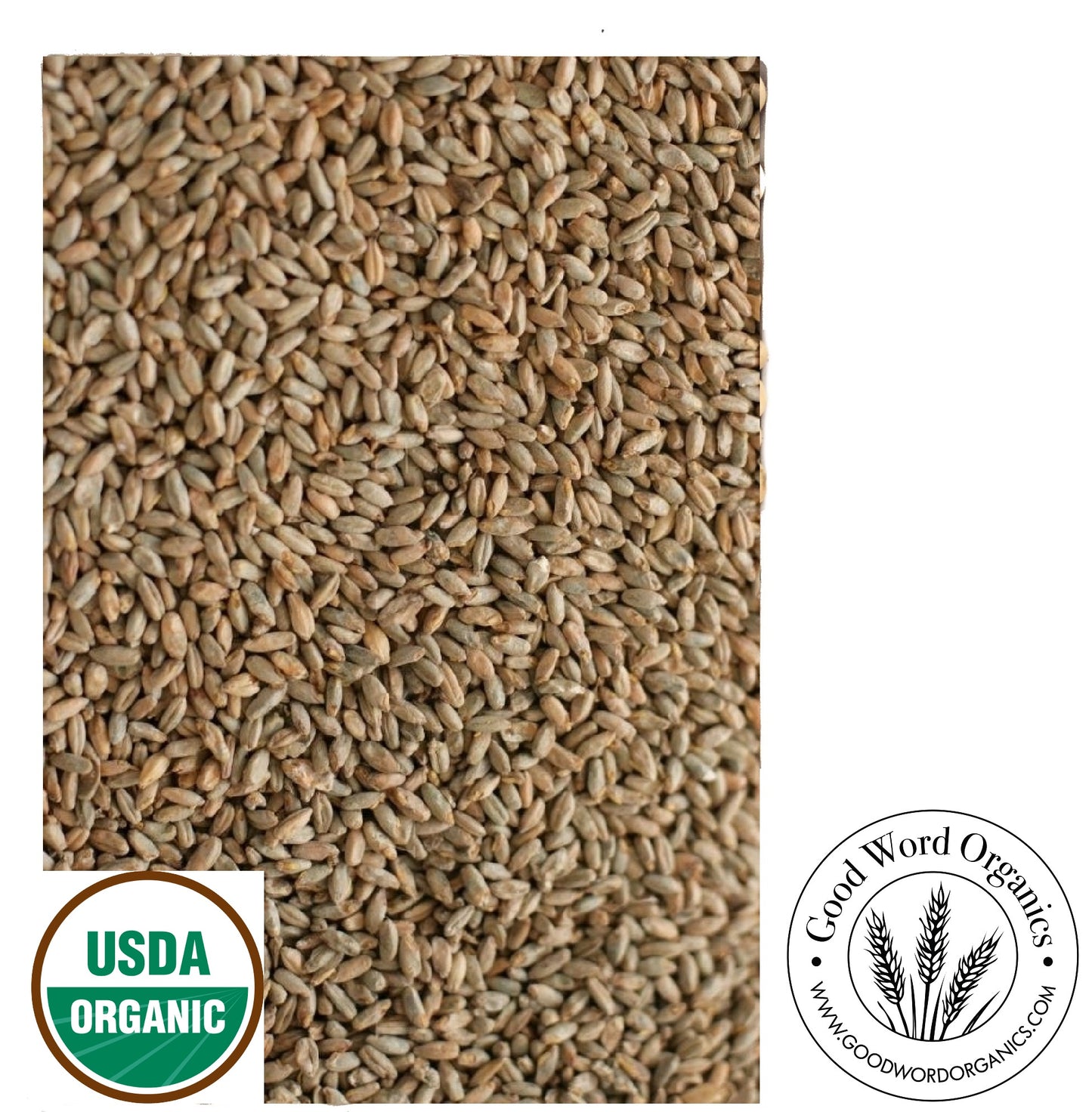 Organic Rye Grain
