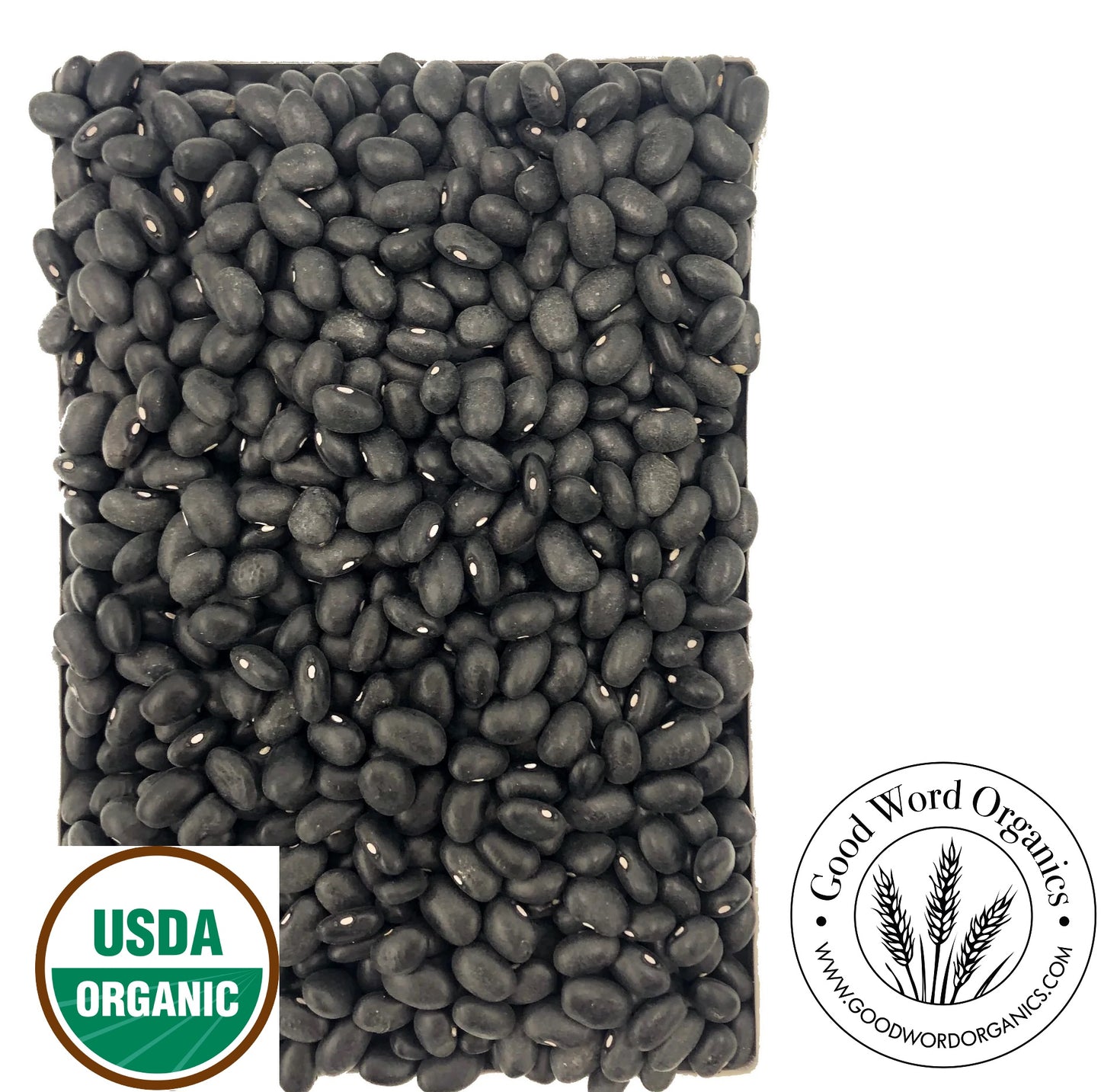 Organic Black Beans