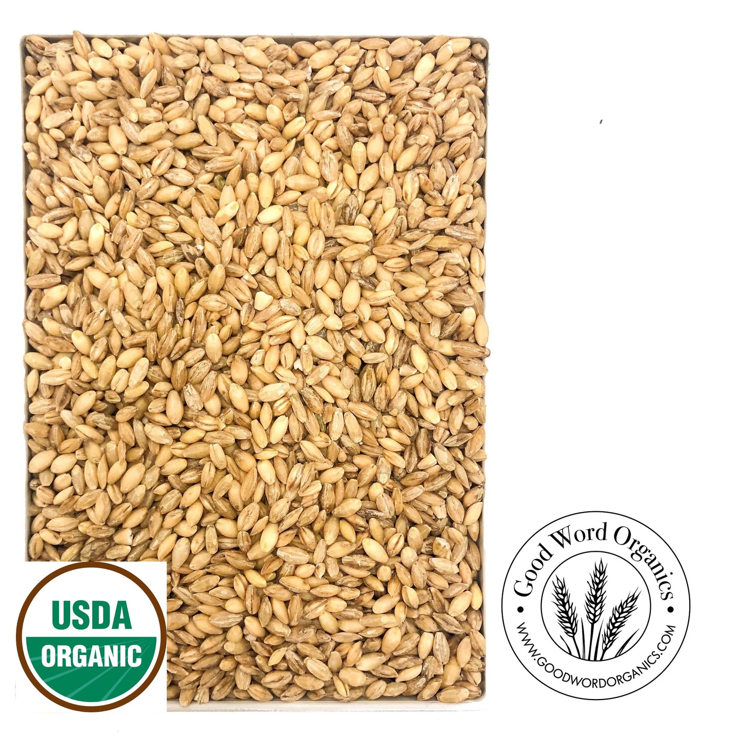 Organic Hulled Barley
