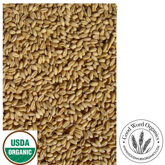 Organic Soft White Wheat